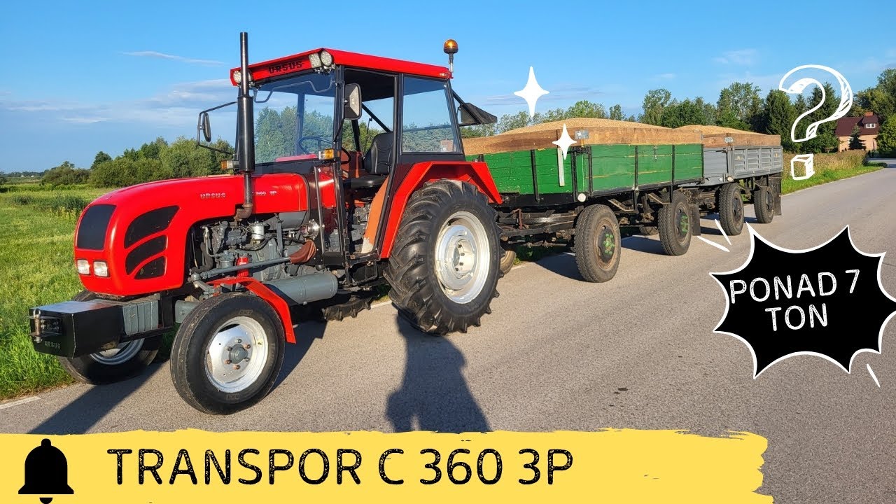 URSUS C 360 3P W Transporcie Zboża z Dwoma PRZYCZEPAMI
