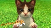 3ds Nintendogs Cats Overview Trailer Jp Youtube