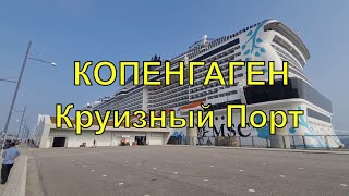 Круизный порт Копенгаген. Регистрация на лайнер MSC. Посадка/высадка в порту Копенгаген