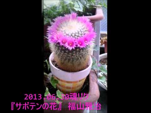 2013 06 30魂リク『サボテンの花』福山雅治
