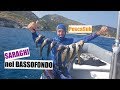 PescaSub Saraghi nel Bassofondo