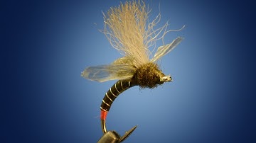 Fripple 2.0 Baetis Mayfly Cripple by Curtis Fry