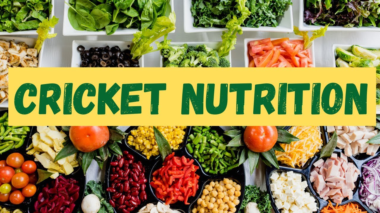 Cricket Nutrition Increase Performance With Diet Cricket Victoria's