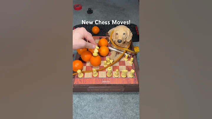 Chess But I Forgot the Rules! #shorts #viral #chess #memes