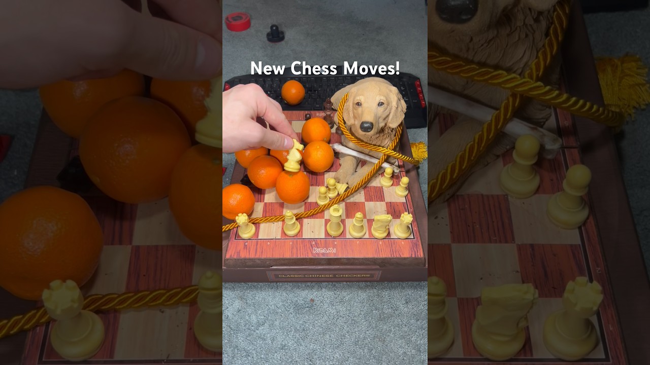 Chess But I Forgot the Rules! 