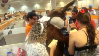 DSCF3680.AVI