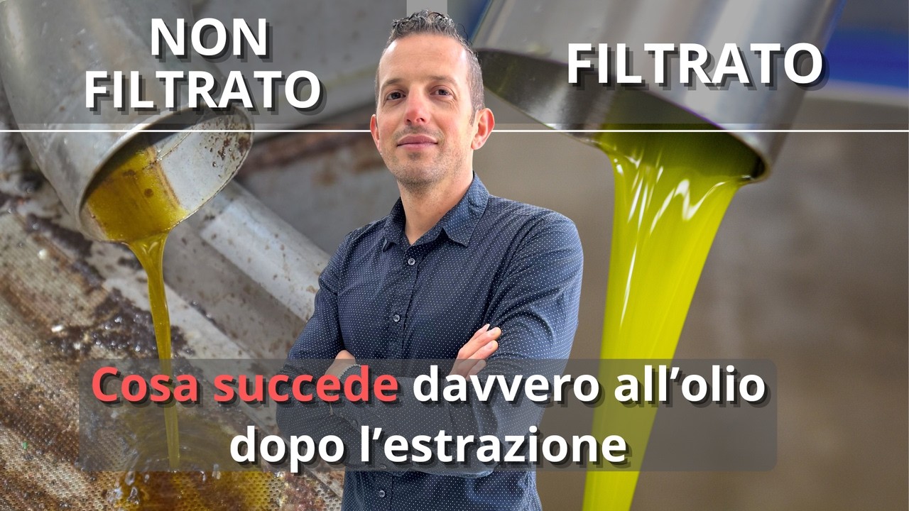 Olio filtrato o non filtrato? Cosa succede davvero all’olio dopo l’estrazione