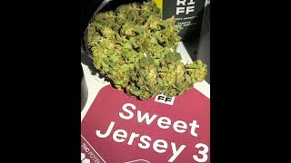 Sweet Jersey 3 Strain Review - The Daily Haze