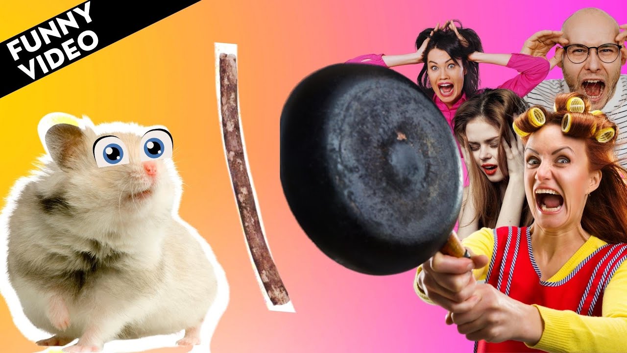 Hamster SWALLOWS A Stick WHOLE 😳 🐹