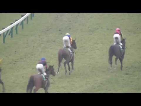 2016 2/20 第66回 ダイヤモンドステークス(ＧＩＩＩ) ウィニングラン 現地映像 トゥインクル