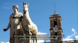 The Colossus of Rhodes Ancient Wonder Lost to Time