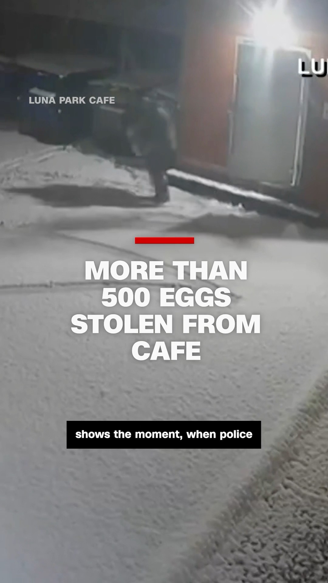 More than 500 eggs stolen from cafe