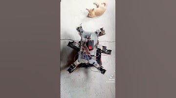 Robó Hexapod #arduino #fremext #hexapod
