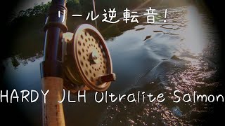 リール逆転 HARDY JLH Ultralite Salmon   sound of ratchet #shorts at天塩川　キャッチ＆リリース
