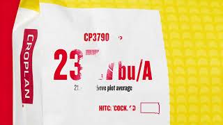 2025 Answer Plot® Yield Results: Hitchcock, SD