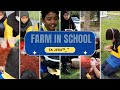 Farm in school part 1