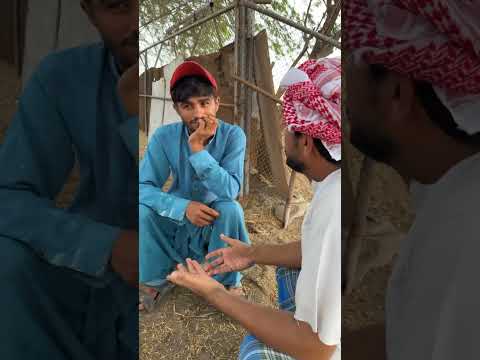 تتوقعاتكم انحلت المشاكل فلعزبه