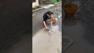 Download Lagu Hujan Hujan Nyeser Ikan Bandeng Di Depan Rumah #nyeser #bandeng #rumah #hujan #hujanderas #idulfitri MP3