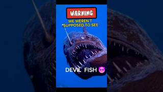 Devil Demon Fish 