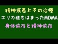 公認心理師受験対策講座 心理学 精神疾患とその治療