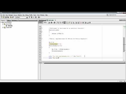 Implementación de Newton Raphson en PHP