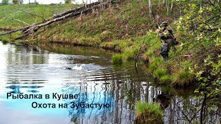Рыбалка в Кушве Охота на Зубастую! Рыбалка в Кушве Охота на Зубастую!