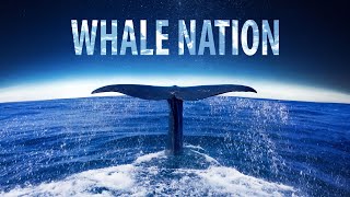 WHALE NATION | Official Trailer | In Cinemas 15 Feb | Celebrate World Whale Day