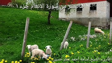 تلاوة من سورة الأنعام ج ١ للقارىء أسامة أحمد عنتر حسين