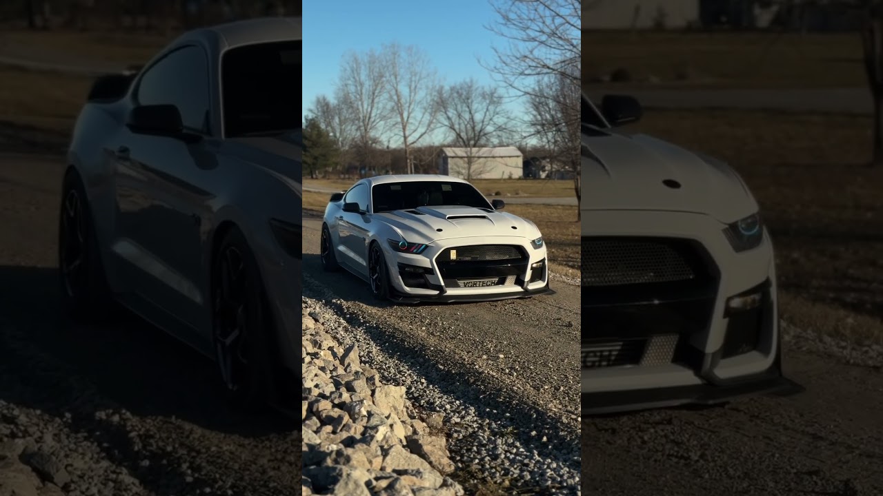 Lighting trends RGB 2015+ mustang headlights!  