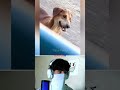 You laugh you lose 13😄 #funny #try_not_to_laugh #viralvideo