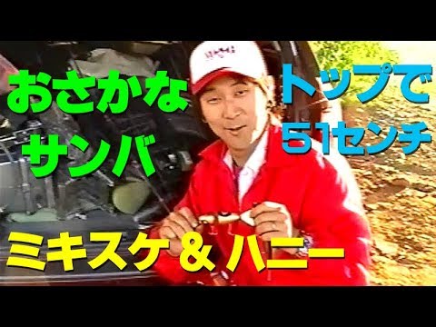 ミキスケ ハニー おさかなサンバ トップで51センチ Mikisuke Honey Youtube ミキスケ ハニー おさかなサンバ トップで51センチ Mikisuke Honey Youtube