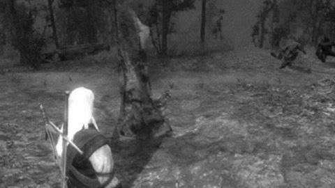 The Witcher - Fighting a Golem