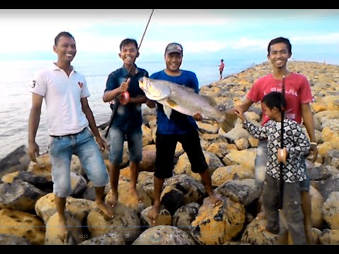 Surf fishing java Clearance