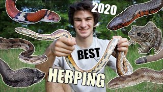 BEST Herping Moments of 2020!!!