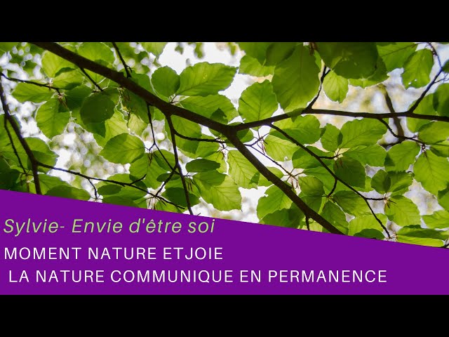 SURPRENANTE MUSIQUE DES ARBRES