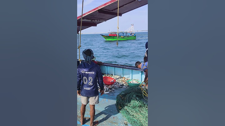 நாங்க இருக்க இடத்துல மீன்கள் கிடைக்கல  #fishing #shorts