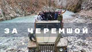 С туристами за Черемшой в горы Чечни.