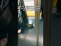 The cat on the subway#cat#cats#catshorts#catvideos#shorts#short#funny#funnycat#catlife#petlove#usa