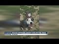 Police officers shoot dog in the face