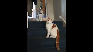 Radiohead - Motion Picture Soundtrack (Earliest demo, alternate 