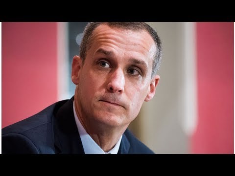 Corey Lewandowski Dismisses Girl With Down Syndrome Separated From Mother: 'Womp, Womp' World Today