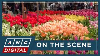 LOOK: A burst of colorful blooms at the world's largest indoor flower show in Philadelphia | ANC