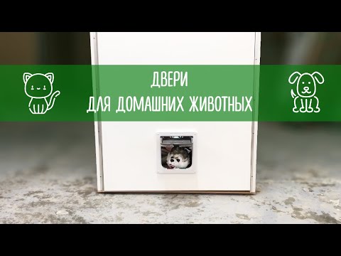 Двери для домашних