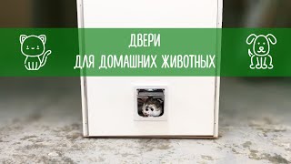 Двери для домашних животных Двери для домашних животных