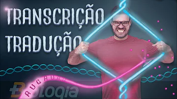 O que é a tradução do DNA?