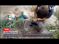 Новини України: 12-річний хлопчик застряг у глибокій норі, яку вирив пес
