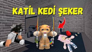 😈 KATİL KEDİ ŞEKER🔫AYŞEM ECE ARI💥ROBLOX MURDER MYSTERY 2