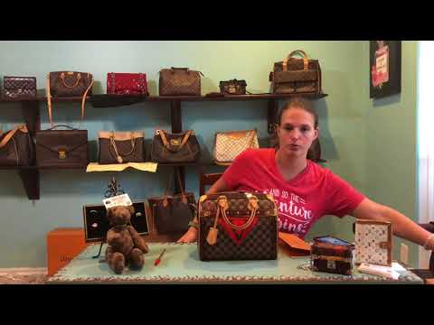 Louis Vuitton Monogram Raisin Tuileries - Meme's Treasures