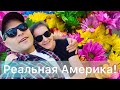 Vlog#410 | Жизнь в США: За кадром