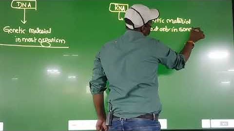 Molecular basis of inheritance lec 1   Molecular basis of inheritance by Sunil Kumar  Dr Sunil kumar